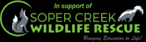 Soper Creek Wildlife Rescue